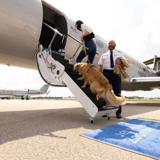 Nace la primera línea aérea para volar con perros de …