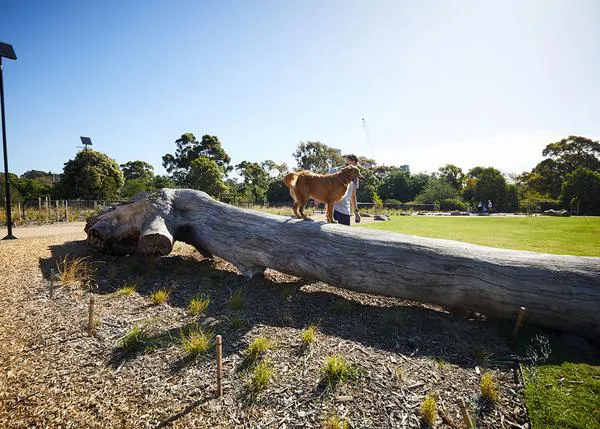 ¿Cómo se diseña un parque para perros teniendo en cuenta el bienestar animal?