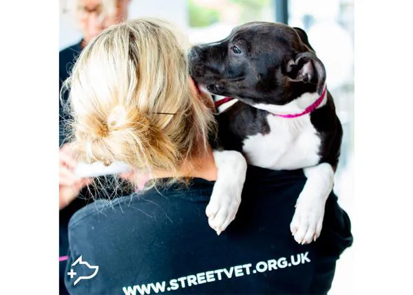 Así ayudan veterinarios solidarios a los perros de personas sin hogar en el Reino Unido: StreetVet