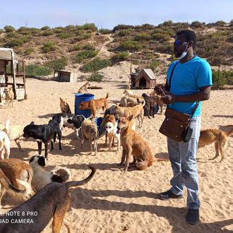 La única protectora de animales de Gaza recibe, tras 15 …