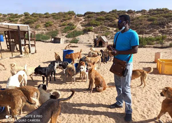 La única protectora de animales de Gaza recibe, tras 15 meses esperando, el primer cargamento de comida para perros y gatos