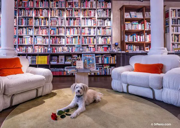 Sant Jordi 2024: firmas de libros, estands solidarios y librerías dog friendly en Barcelona, Girona, Palma de Mallorca...