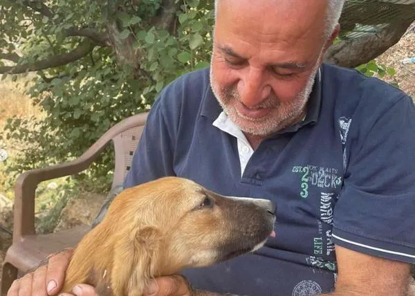 En medio de los bombardeos israelíes sobre Líbano, un hombre se ocupa de alimentar a perros y gatos abandonados