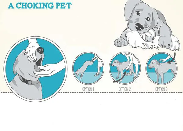 ¿Qué puedes hacer si tu perro se atraganta y no puede respirar?