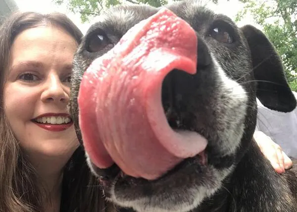 Adoptan a una perra viejita y descubren que tiene cáncer: esta es su maravillosa reacción y preciosa despedida