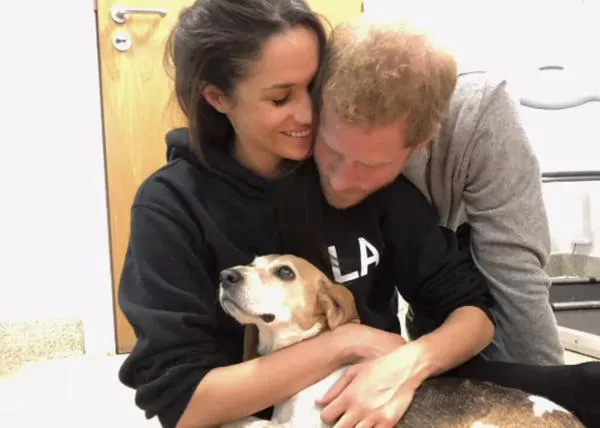 El bello homenaje de despedida de Meghan Markle a su perro, Guy, 