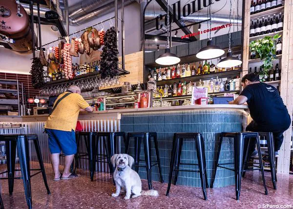 El Día Mundial de la Tapa... junto a tu perro: selección SrPerro de bares de tapas dog friendly