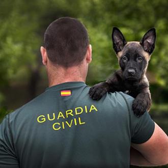 La foto de un cachorro en brazos de un Guardia …