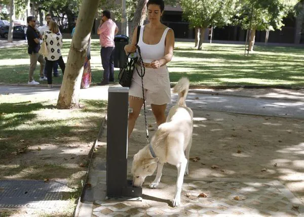 Madrid instala 60 nuevas fuentes, algunas con bebedero para perros -y hay una app que localiza todas las fuentes