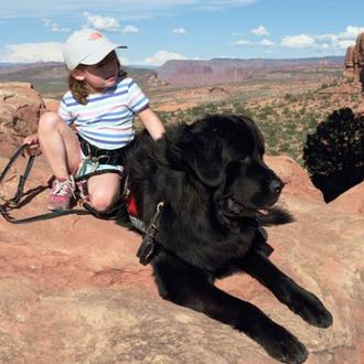 Perros entrenados para ayudar a niños con autismo y tendencia …