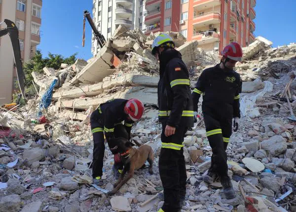 La indispensable labor de los perros de rescate tras los terremotos de Turquía y Siria #UnLadridoSalvaVidas