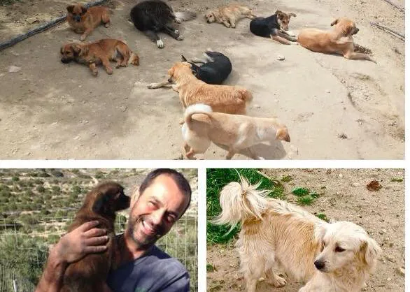 La historia de Lena y de cientos de otros canes rescatados gracias a la labor infatigable de un buen hombre 