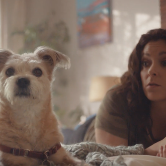 Olivia Munn y Rachel Bloom con sus canes adoptados y …
