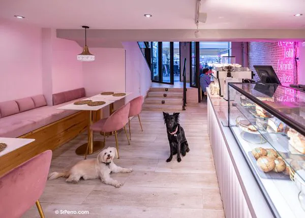 El Brunch en Madrid con tu perro, 20 opciones para disfrutar de un desayuno tardío con tu can (2024)