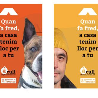 Campaña de acogidas temporales de perros y gatos en Terrassa …