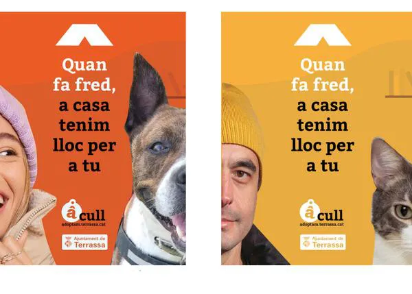 Campaña de acogidas temporales de perros y gatos en Terrassa en los meses de más frío