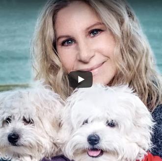 La decisión de Barbra Streisand de clonar a su perra …