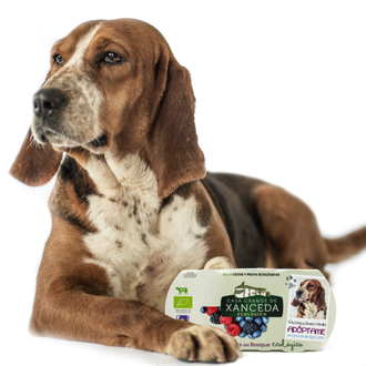 ¿Se puede fomentar la adopción de perros con yogures ecológicos …