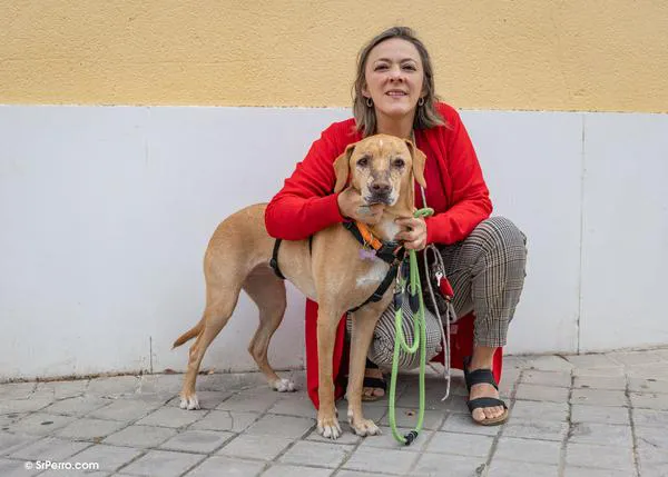 Flor y su humana, Claudia, emocionan a todos en los Premios Bienestar Animal del Colegio de Veterinarios de Madrid