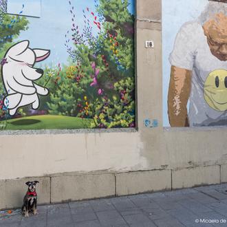 Un paseo por el mejor arte urbano en Madrid: Muros …