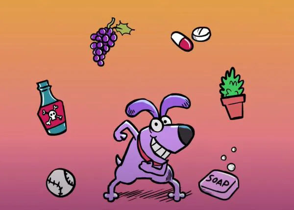 Los 10 productos más tóxicos para los perros: una web alerta, con humor, sobre los peligros en casa