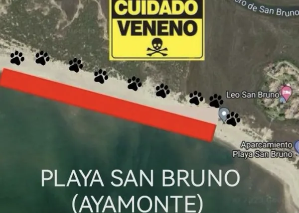 Alertan de que varios perros se han envenenado en la Playa de San Bruno, en Ayamonte