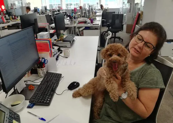 Buen humor, solidaridad y tranquilidad: la experiencia de Royal Canin como empresa pet friendly
