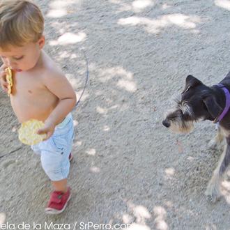 Bebés, niños y perros, los consejos prácticos de Santi Vidal …