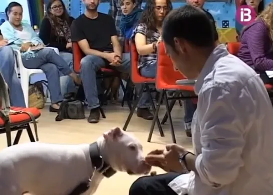 Educación canina en positivo con Santi Vidal: un vídeo práctico