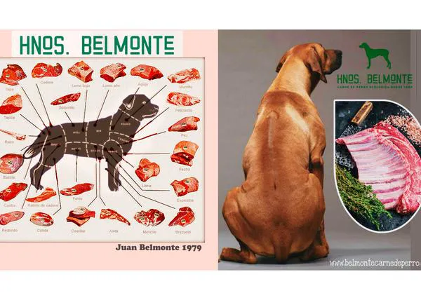 Filetes de Labrador, bacon de Carlino o jamón de San Bernardo: la historia de la granja de carne ecológica de perro