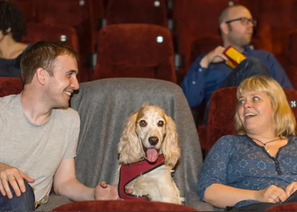 Plan para humanos cinéfilos en Londres: el cine dog friendly