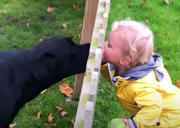 El perro que enseñó a ladrar a su pequeño humano: una de esas amistades imbatibles entre canes y niños