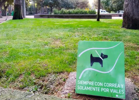 Huesca con Perro: una ordenanza regula todos los sitios donde está prohibido que hagan pis los canes