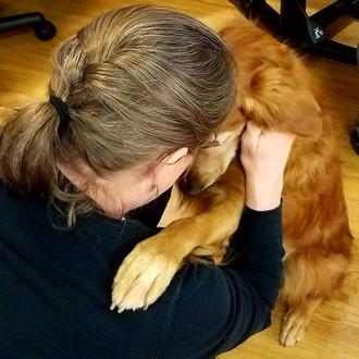 Los perros de terapia que ayudan a enfermos terminales: canes …