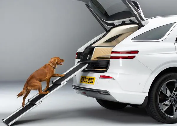 ¿Un coche que incluye ducha eléctrica para perros, secador, cama con calefacción y rampa? Sip, el Genesis X Dog