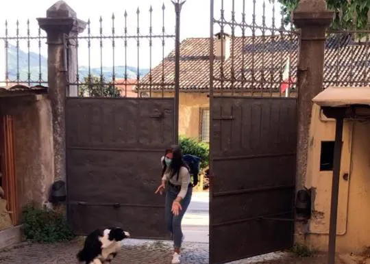 Una perra loquita de felicidad al reunirse con su humana tras 56 días sin verla por el confinamiento