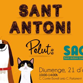 Sant Antoni Pelut, la Fiesta Mayor de los Animales vuelve …