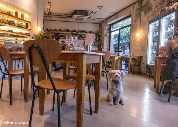 De Brunch en Barcelona con perro: 20 lugares para disfrutar en la mejor compañía