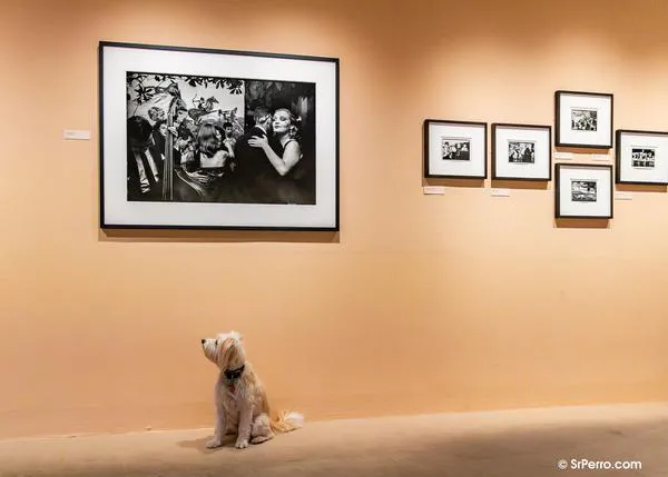 El fotógrafo que ladraba a los perros: la gran expo de Elliott Erwitt en Madrid (junto a tu can)