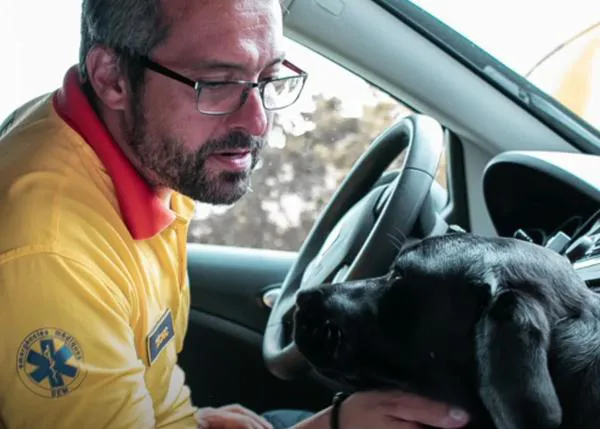 Los perros de asistencia pueden acompañar a sus humanos en las ambulancias de Cataluña