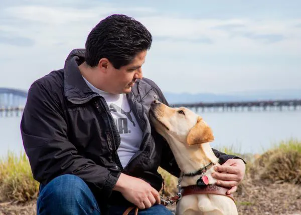 Eficiencia y apoyo emocional: analizan el papel de los perros guía para facilitar la movilidad de personas ciegas