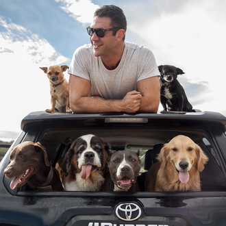 El viaje más guau: recorre EEUU con sus 6 perros …