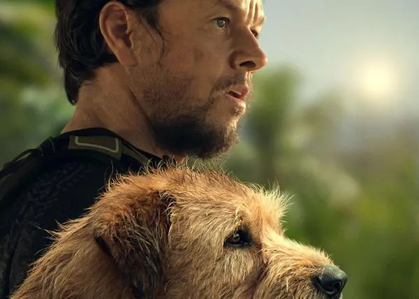 La increíble pero cierta historia de Arthur, el perro rescatado en la selva de Ecuador, llega al cine protagonizada por Mark Whalberg