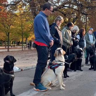 Un aspirante a perro guía de la ONCE muere atropellado …