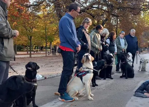 Un aspirante a perro guía de la ONCE muere atropellado en el Parque de El Retiro #PaseosSeguros.