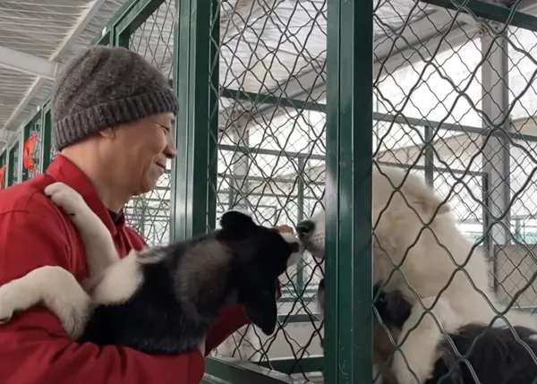 Un monje budista ha dedicado su vida a rescatar a los perros y gatos abandonados en Shanghai