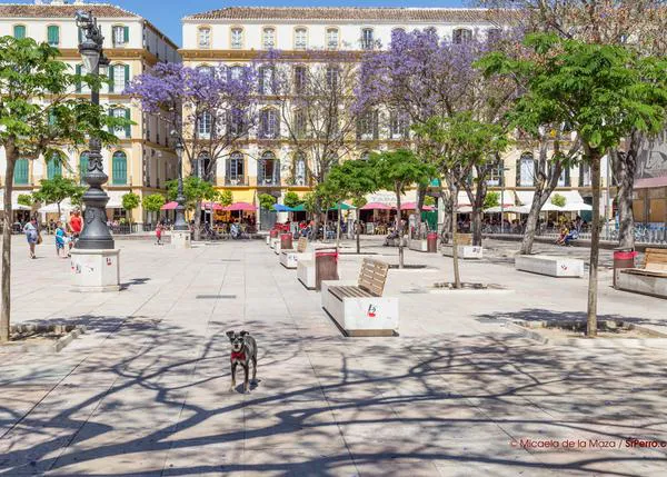 Petardos y pirotecnia en Málaga: prohibido en todo el centro de la ciudad