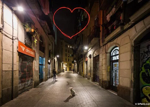 Amores perros por encima de los humanos: para muchos, San Valentín es más bien San Canentín