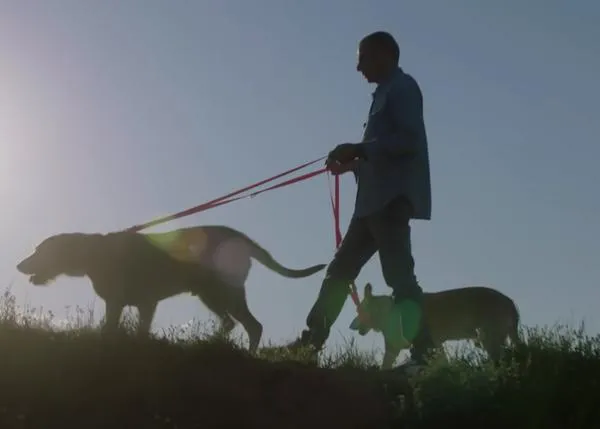 El poder de los perros para transformar vidas: la reinserción de un hombre gracias a dos canes de terapia