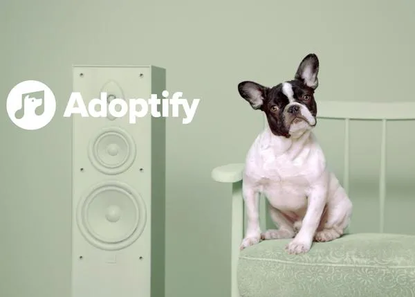 Adoptify: una original campaña para fomentar las adopciones a través de la música